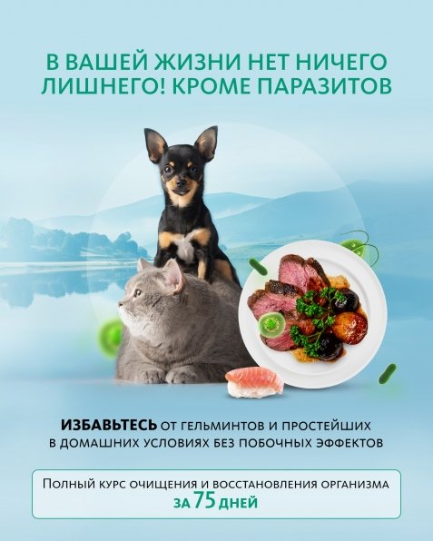 Травяной комплекс «АНТИПАРАЗИТАРНЫЙ» – для очищения и восстановления организма «Крепкое сибирское» MeiTan