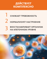 Монодоза-концентрат RevеX ЗАМЕСТИТЕЛЬНАЯ ДОФАМИНОВАЯ ТЕРАПИЯ MEITANGreen MeiTan